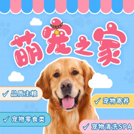 镇赉萌宠之家小程序开发