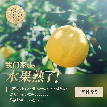 镇赉果园果林小程序开发